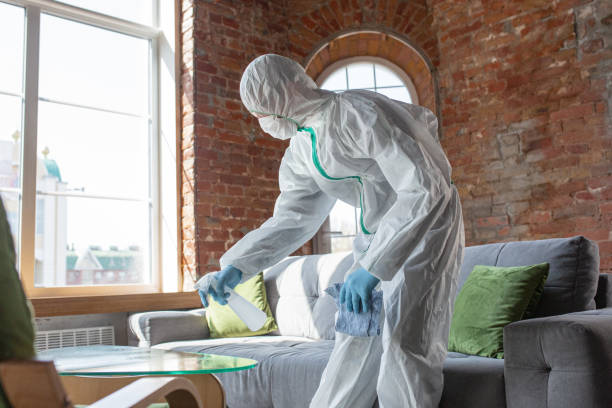 Why You Should Choose Our Mold Remediation Services in Lake Of The Woods, IL